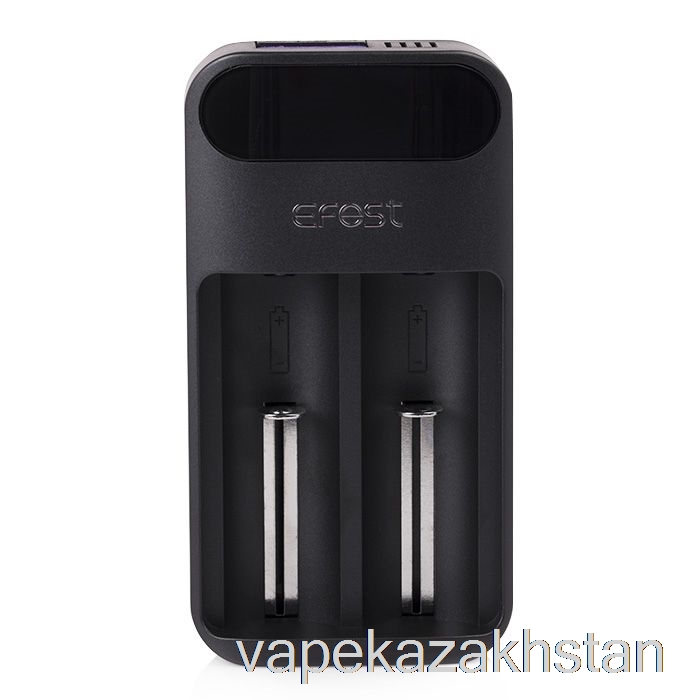 Vape Kazakhstan Efest LUSH Q2 2-Bay Intelligent LED Battery Charger