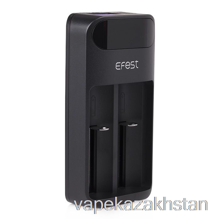 Vape Kazakhstan Efest LUSH Q2 2-Bay Intelligent LED Battery Charger