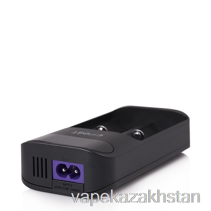 Vape Kazakhstan Efest LUSH Q2 2-Bay Intelligent LED Battery Charger