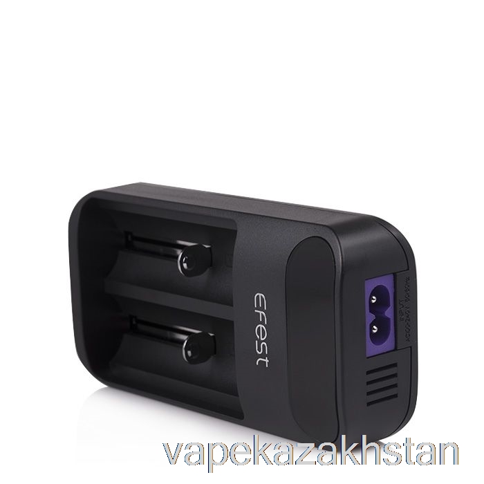 Vape Kazakhstan Efest LUSH Q2 2-Bay Intelligent LED Battery Charger