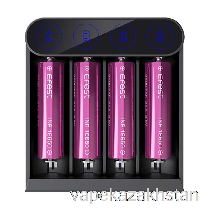 Vape Kazakhstan Efest SLIM K4 USB-C Battery Charger